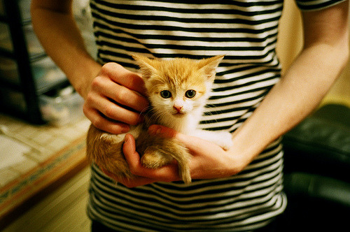 青少年体质监测数据驱动下的个性化干预策略研究，青少年体质状况调查报告