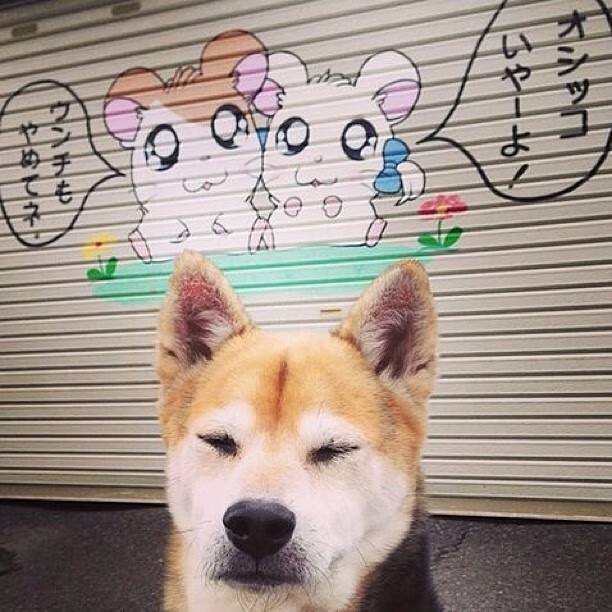 职业球员抗压能力训练体系落后,抗压能力是什么技能