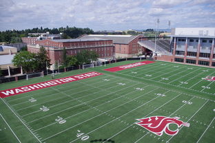 开云体育-法甲青训团队融合自我对话训练提升心理韧性，法甲青训最好的球队