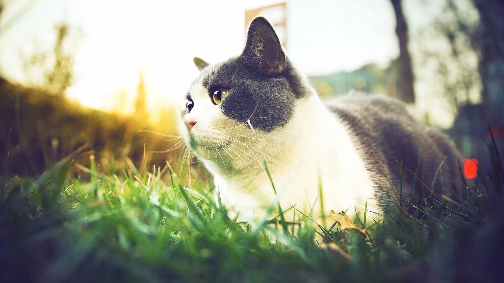 中超联赛中国青年队战平 球迷呼吁更多年轻力量，2020中超青训梯队试训公告