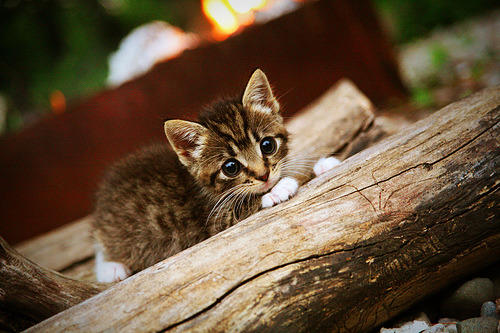 千人参赛，兴隆湖变身水上竞技场，兴隆湖蓄水了么