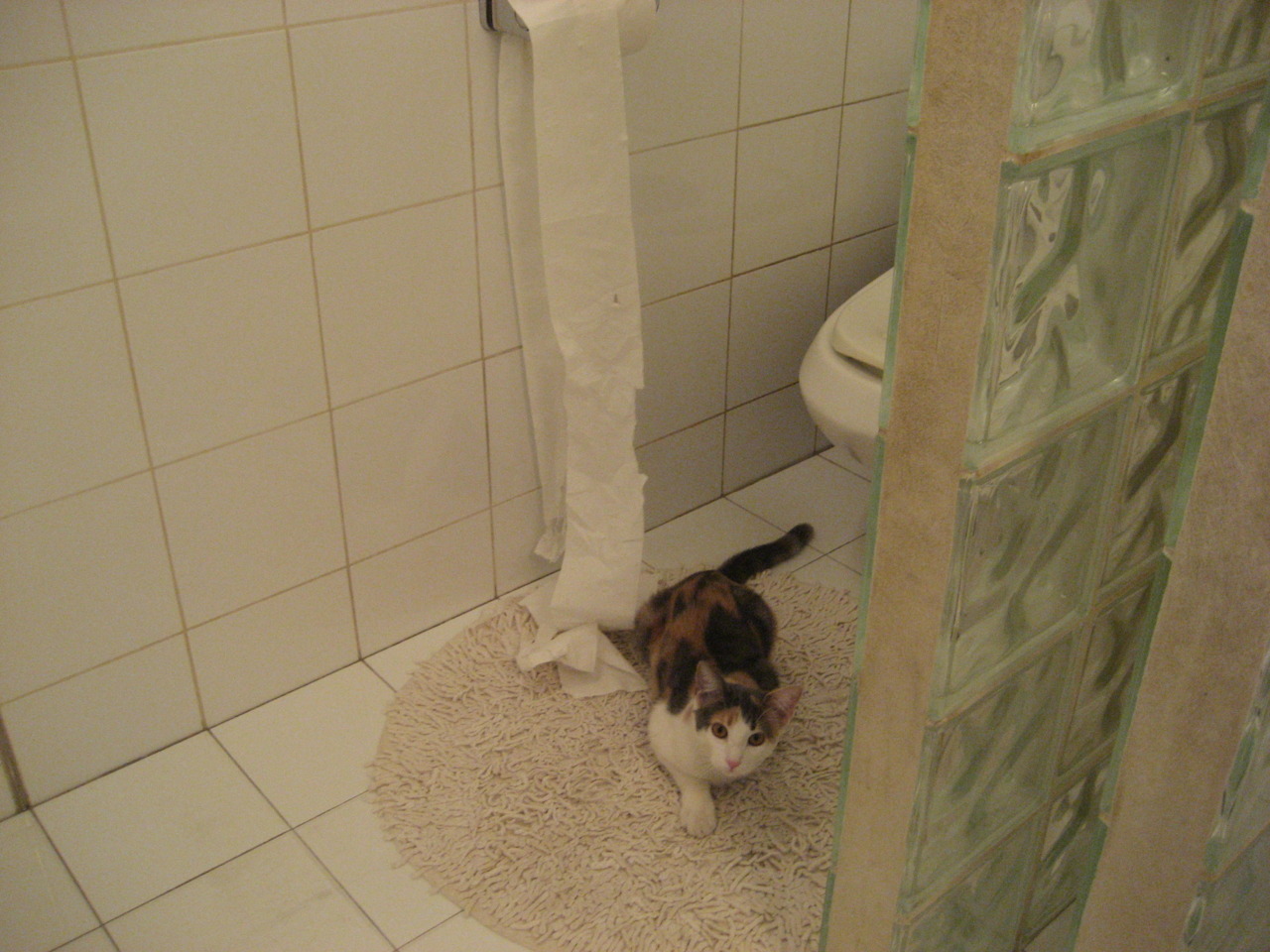 开云体育登录网站入口-波兰队未来发展：如何通过多层次训练提升球员比赛的应变能力，波兰队实力分析