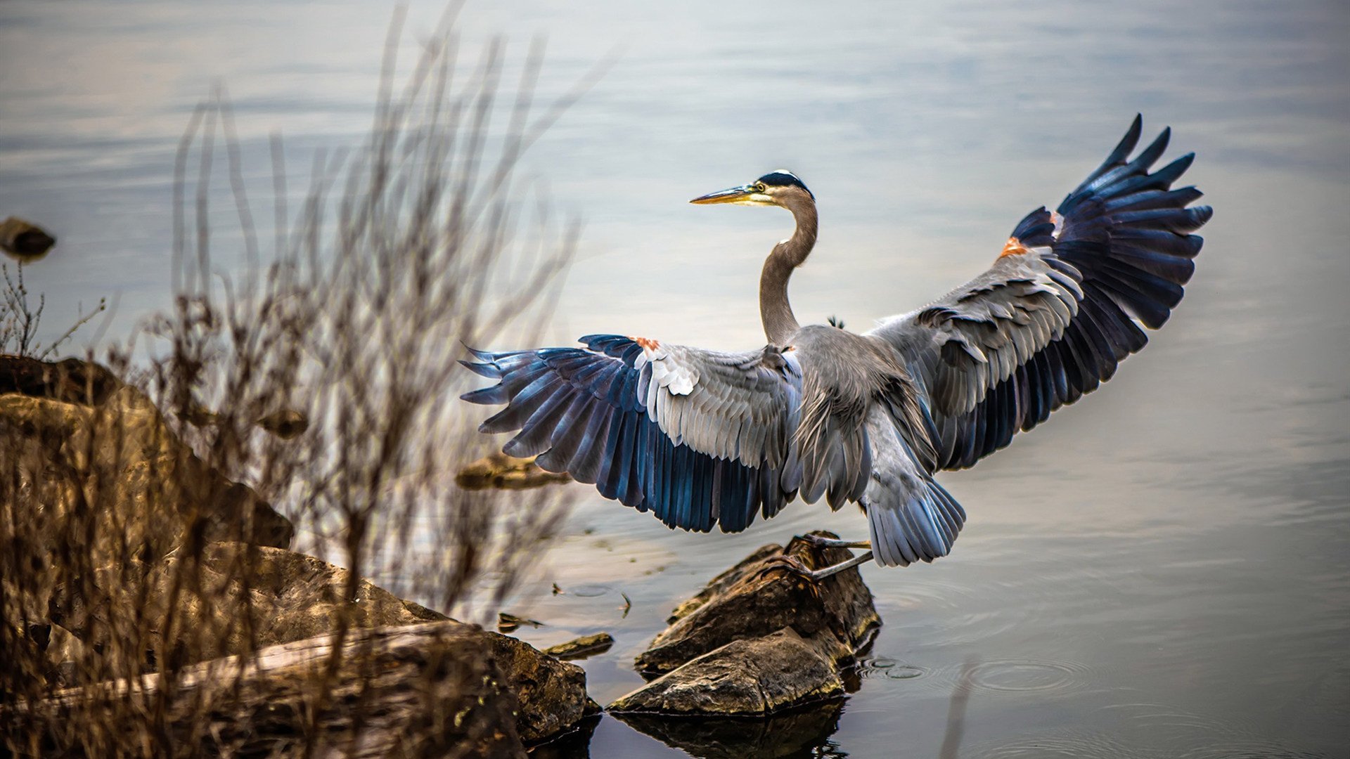 开云下载-观众互动体验升级丰富赛事参与感，观众互动环节