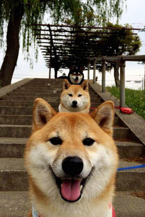 开云注册-赛季总结大会召开各队教练建言献策，赛季总结大会召开各队教练建言献策活动