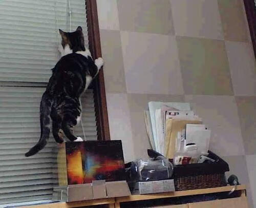 足球运动推广缺乏家庭层面支持体系，足球需求